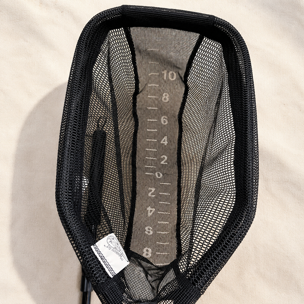 301 | Large Measure Net