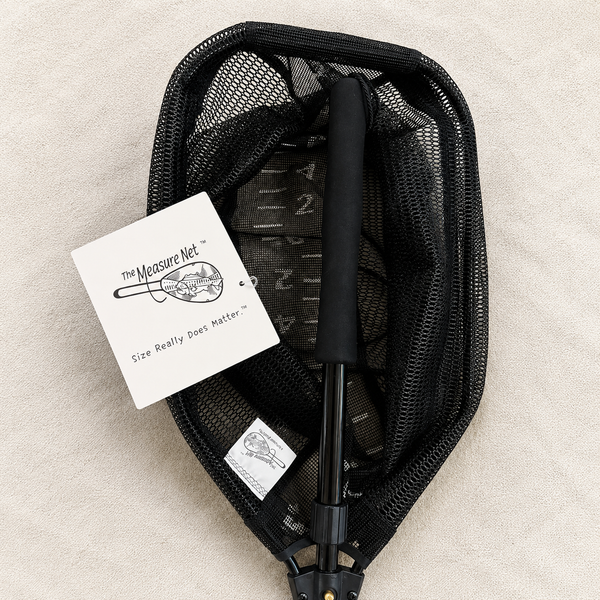 301 | Large Measure Net