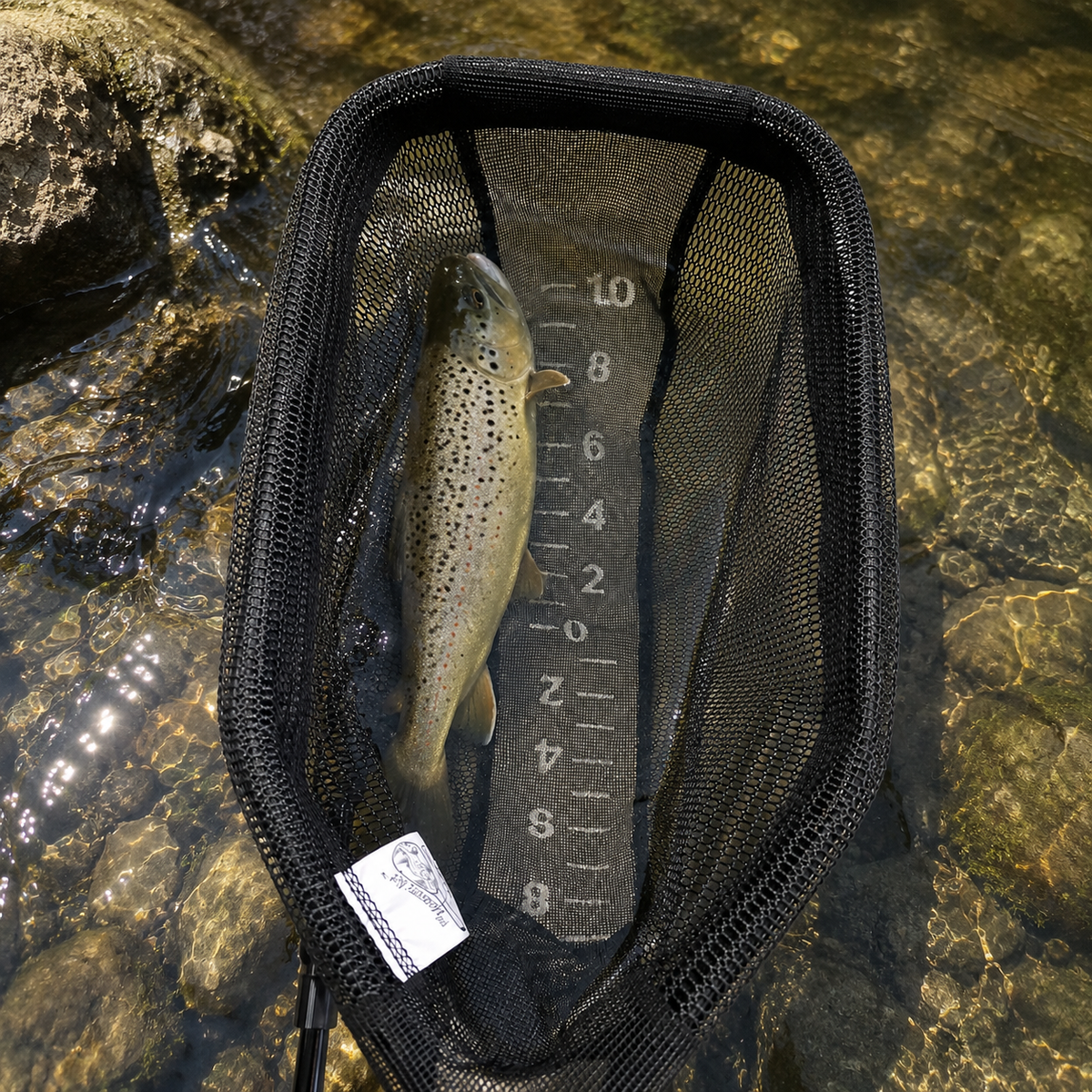 301 | Large Measure Net
