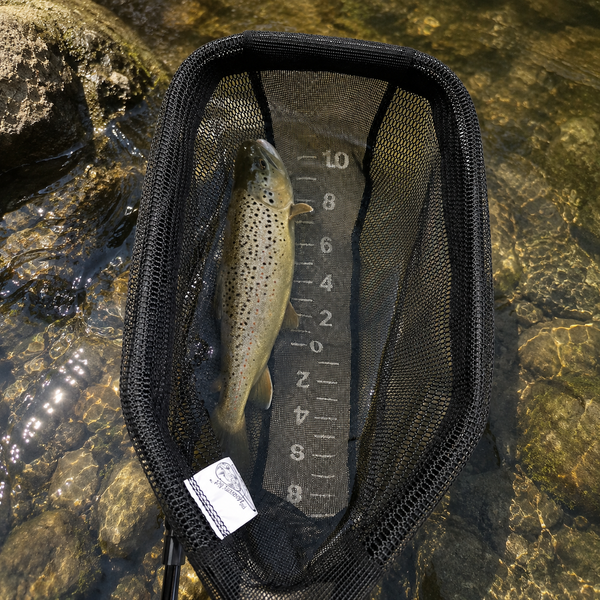 301 | Large Measure Net